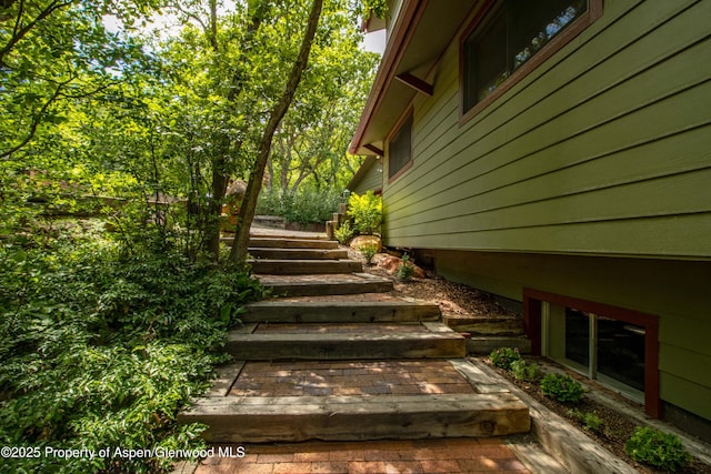 912 Red Mountain Dr, Glenwood Springs, CO 81601 - view of stairs