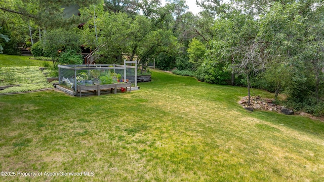 912 Red Mountain Dr, Glenwood Springs, CO 81601 - view of green lawn featuring a vegetable garden