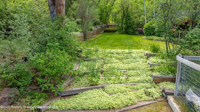 912 Red Mountain Dr, Glenwood Springs, CO 81601 - view of green lawn with a garden