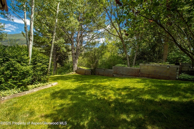 912 Red Mountain Dr, Glenwood Springs, CO 81601 - view of yard