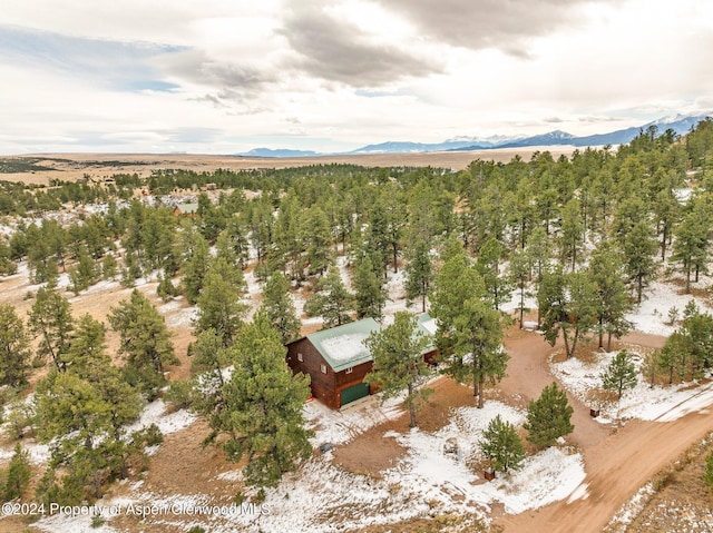 birds eye view of property with a mountain view