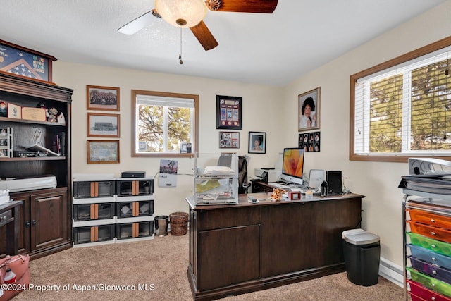 carpeted office space featuring ceiling fan