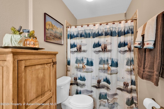 bathroom with a shower with curtain and toilet