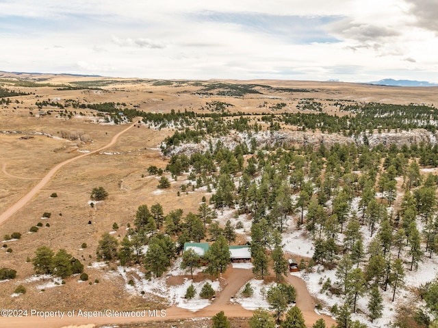 birds eye view of property with a mountain view