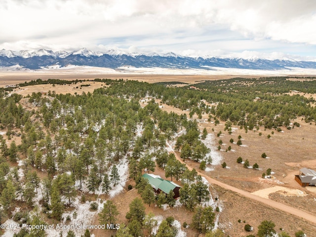 birds eye view of property with a mountain view