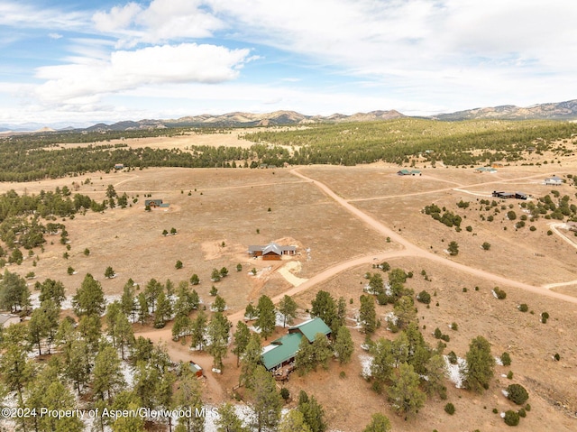 aerial view with a mountain view and a rural view