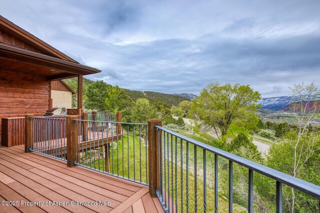 1204 Huebinger Dr, Glenwood Springs, CO 81601 - photo 38