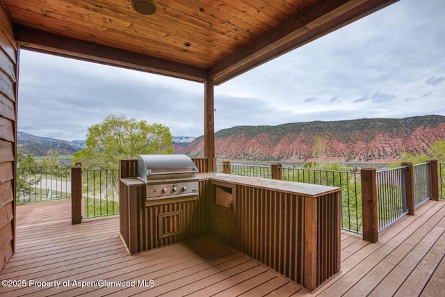 1204 Huebinger Dr, Glenwood Springs, CO 81601 - photo 36