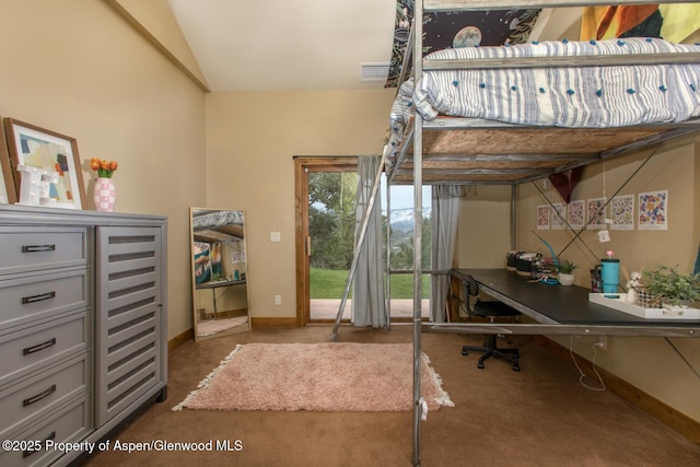 1204 Huebinger Dr, Glenwood Springs, CO 81601 - photo 25