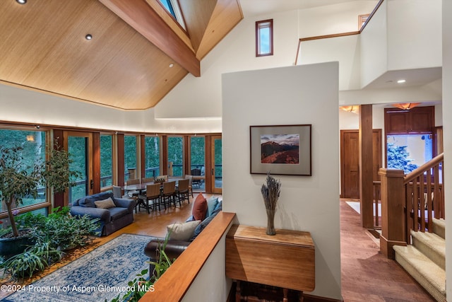335 Hall Dr, Aspen, CO 81611 - photo 19