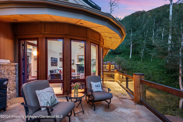 335 Hall Dr, Aspen, CO 81611 - photo 13