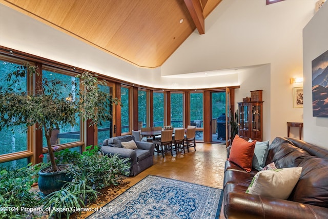 335 Hall Dr, Aspen, CO 81611 - photo 17