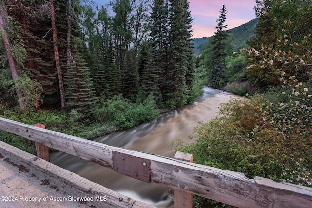 335 Hall Dr, Aspen, CO 81611 - photo 49