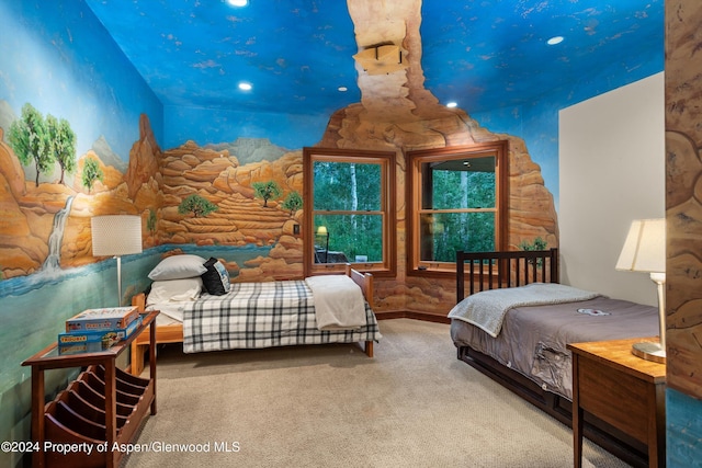 335 Hall Dr, Aspen, CO 81611 - photo 41