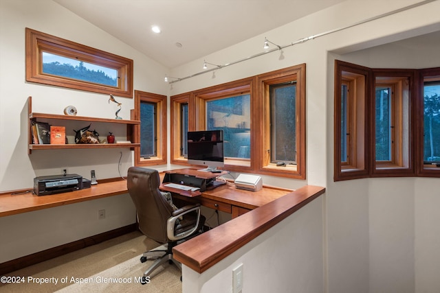 335 Hall Dr, Aspen, CO 81611 - photo 28