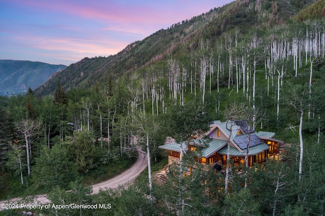 335 Hall Dr, Aspen, CO 81611 - photo 5