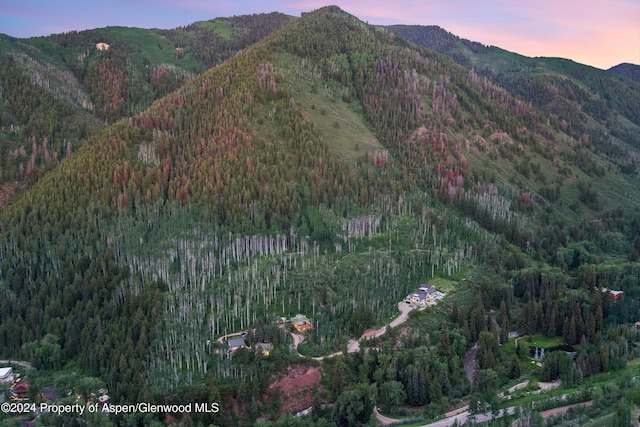 335 Hall Dr, Aspen, CO 81611 - photo 9