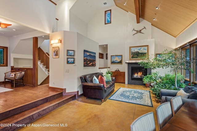335 Hall Dr, Aspen, CO 81611 - photo 16