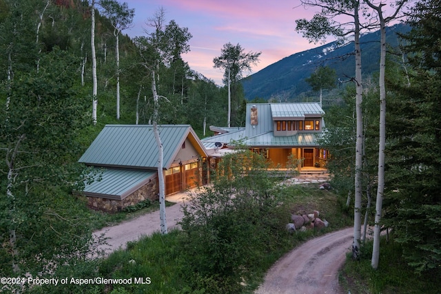 335 Hall Dr, Aspen, CO 81611 - photo 4