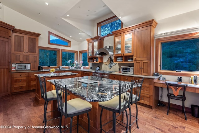 335 Hall Dr, Aspen, CO 81611 - photo 22