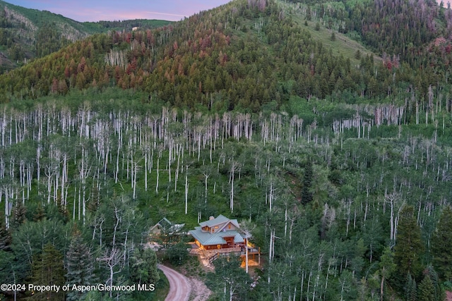 335 Hall Dr, Aspen, CO 81611 - photo 12