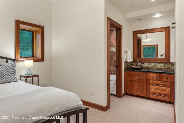 335 Hall Dr, Aspen, CO 81611 - photo 45