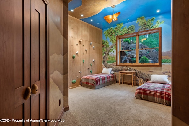 335 Hall Dr, Aspen, CO 81611 - photo 40