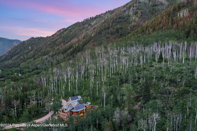 335 Hall Dr, Aspen, CO 81611 - photo 11