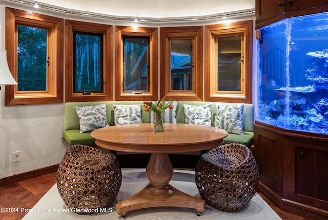 335 Hall Dr, Aspen, CO 81611 - photo 25