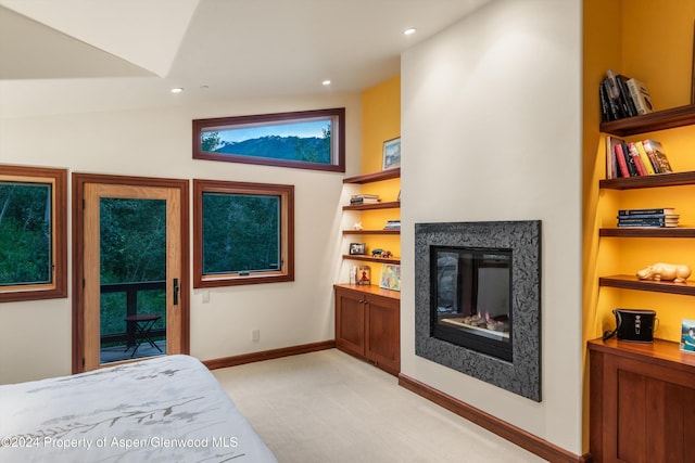 335 Hall Dr, Aspen, CO 81611 - photo 31