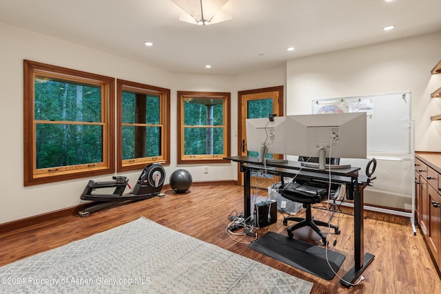 335 Hall Dr, Aspen, CO 81611 - photo 43