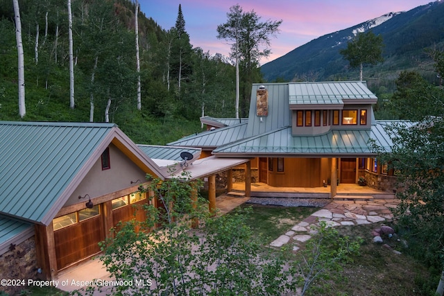 335 Hall Dr, Aspen, CO 81611 - photo 3