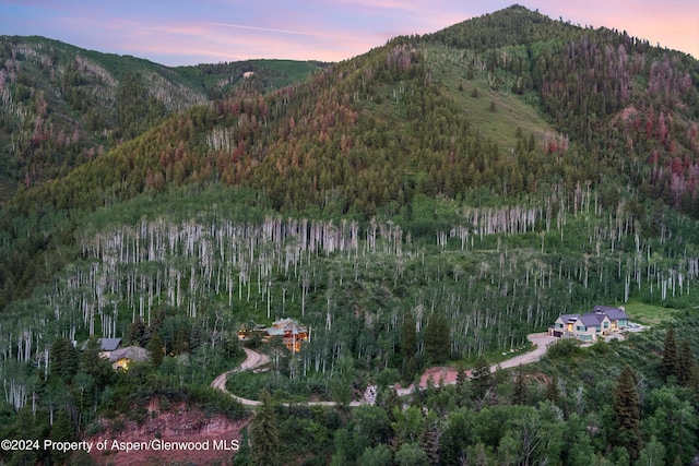 335 Hall Dr, Aspen, CO 81611 - photo 10