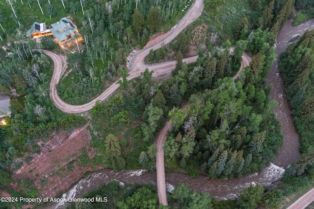 335 Hall Dr, Aspen, CO 81611 - photo 8