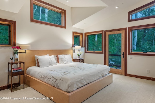 335 Hall Dr, Aspen, CO 81611 - photo 30