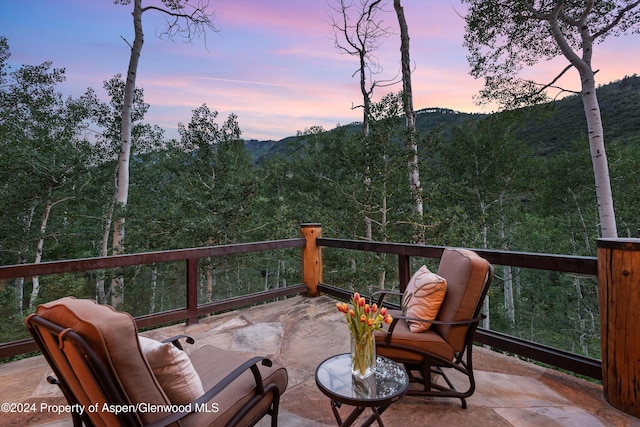 335 Hall Dr, Aspen, CO 81611 - photo 14
