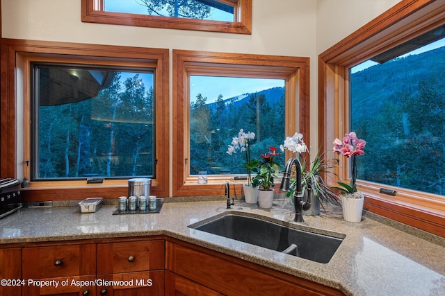 335 Hall Dr, Aspen, CO 81611 - photo 23