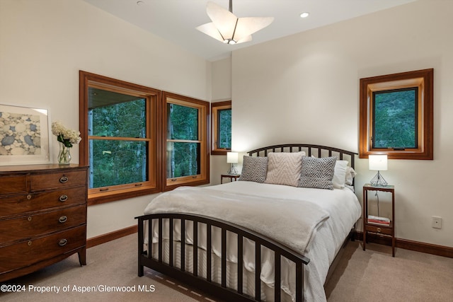 335 Hall Dr, Aspen, CO 81611 - photo 46