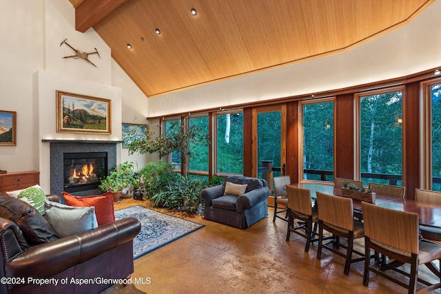 335 Hall Dr, Aspen, CO 81611 - photo 15