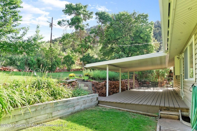 view of yard featuring a deck