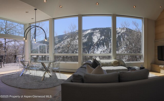 602 Mountain Laurel Dr, Aspen, CO 81611 - photo 5