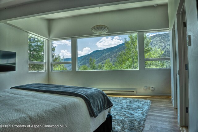 602 Mountain Laurel Dr, Aspen, CO 81611 - photo 14