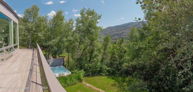 602 Mountain Laurel Dr, Aspen, CO 81611 - photo 23