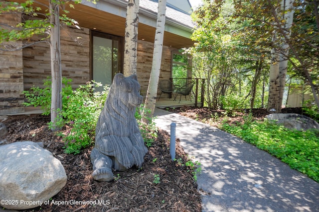602 Mountain Laurel Dr, Aspen, CO 81611 - photo 4