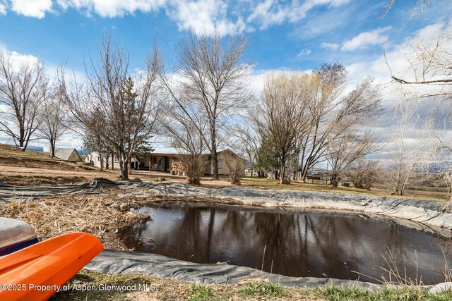 5939 County Road 233, Silt, CO 81652 - photo 42