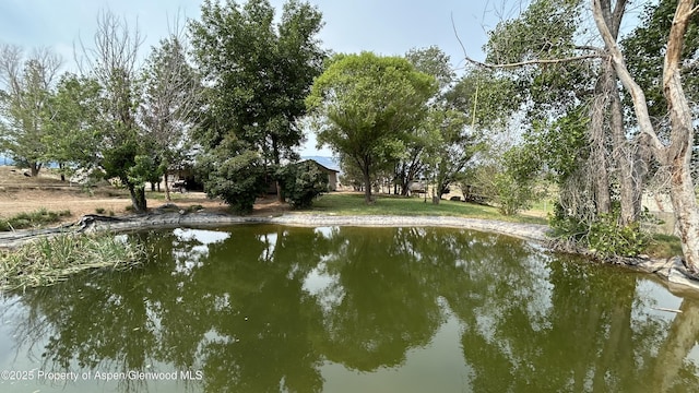 5939 County Road 233, Silt, CO 81652 - photo 8