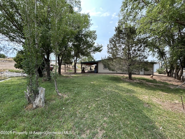 5939 County Road 233, Silt, CO 81652 - photo 7