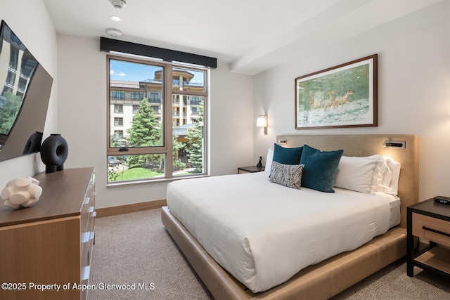 130 Wood Rd Unit 264, Snowmass Village, CO 81615 - bedroom with baseboards