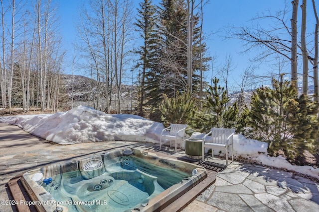 57 Saddleback Ln, Snowmass Village, CO 81615 - photo 62