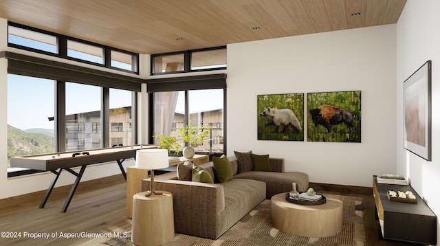 221 Wood Rd Unit 718, Snowmass Village, CO 81615 - living area with plenty of natural light, wood finished floors, wooden ceiling, and a mountain view